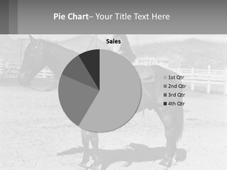 A Cat Sitting On The Back Of A Horse PowerPoint Template