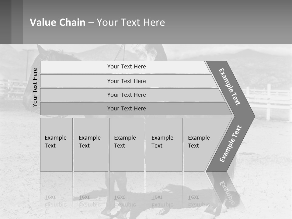 A Cat Sitting On The Back Of A Horse PowerPoint Template