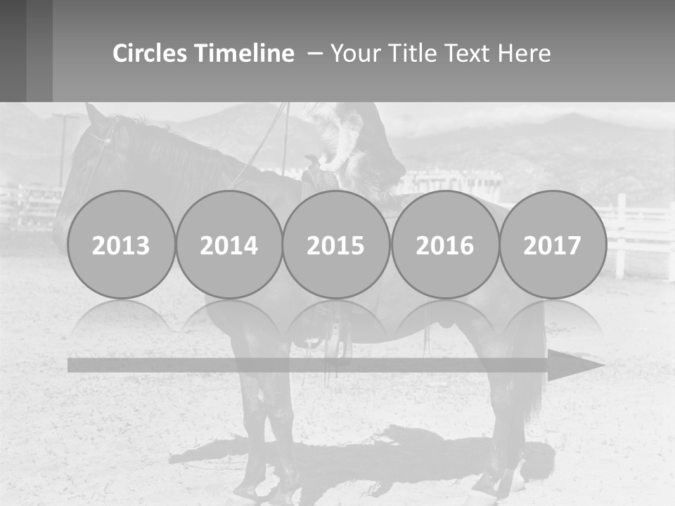 A Cat Sitting On The Back Of A Horse PowerPoint Template