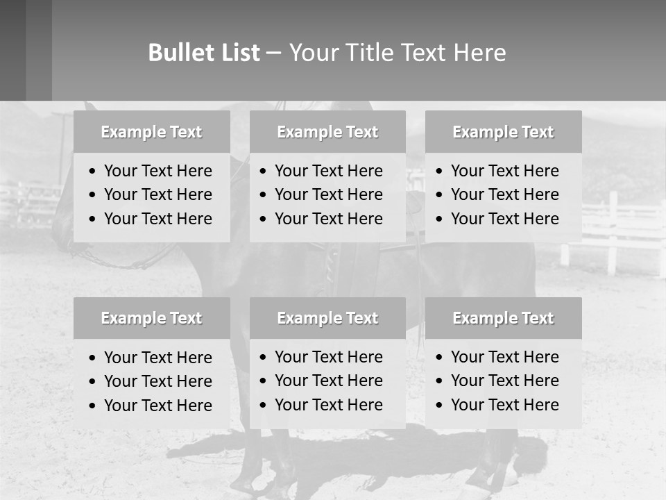 A Cat Sitting On The Back Of A Horse PowerPoint Template