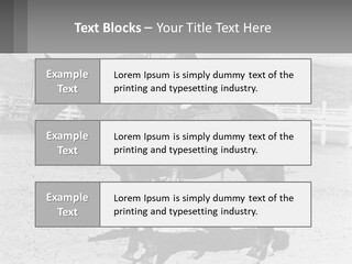 A Cat Sitting On The Back Of A Horse PowerPoint Template