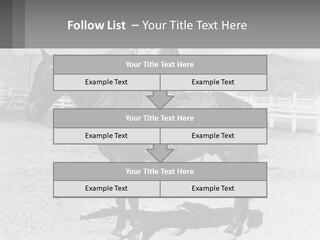 A Cat Sitting On The Back Of A Horse PowerPoint Template