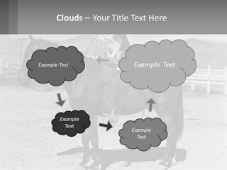 A Cat Sitting On The Back Of A Horse PowerPoint Template