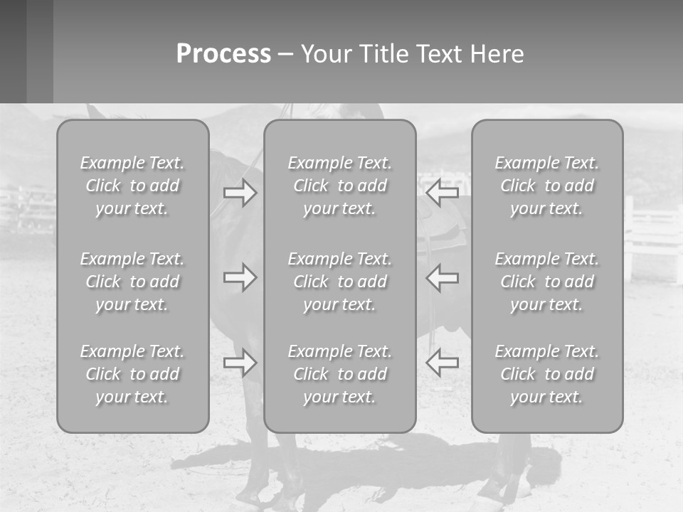 A Cat Sitting On The Back Of A Horse PowerPoint Template