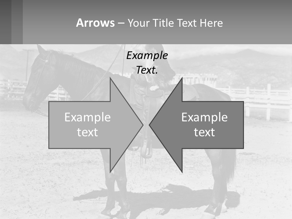 A Cat Sitting On The Back Of A Horse PowerPoint Template