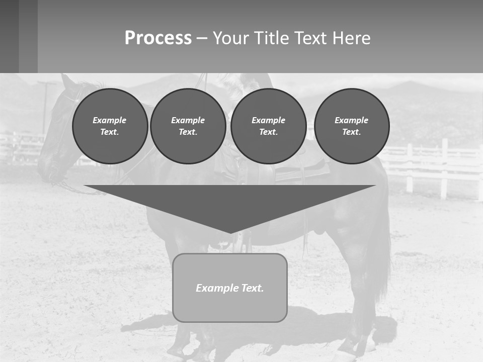 A Cat Sitting On The Back Of A Horse PowerPoint Template