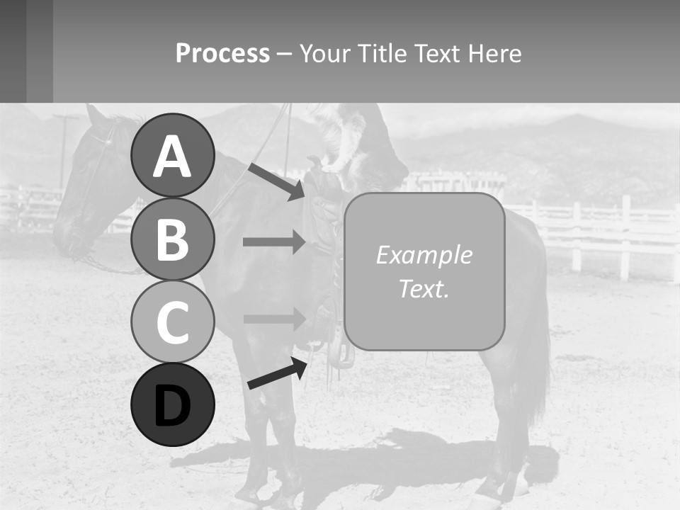 A Cat Sitting On The Back Of A Horse PowerPoint Template