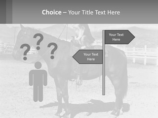 A Cat Sitting On The Back Of A Horse PowerPoint Template