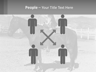 A Cat Sitting On The Back Of A Horse PowerPoint Template