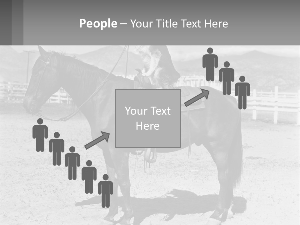 A Cat Sitting On The Back Of A Horse PowerPoint Template