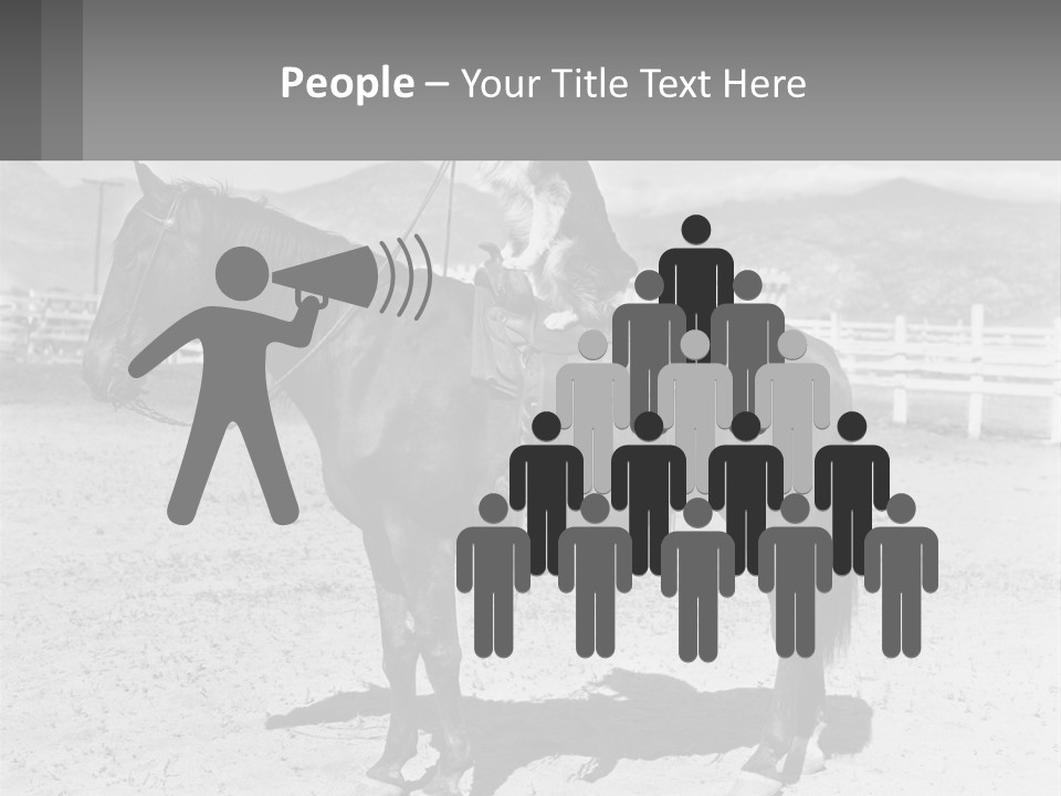 A Cat Sitting On The Back Of A Horse PowerPoint Template