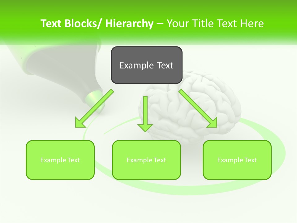 A Green Marker Writing On A White Background Next To A Brain PowerPoint Template
