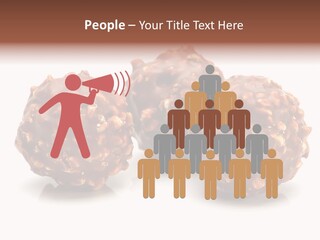 Three Chocolate Balls With Nuts On A White Background PowerPoint Template