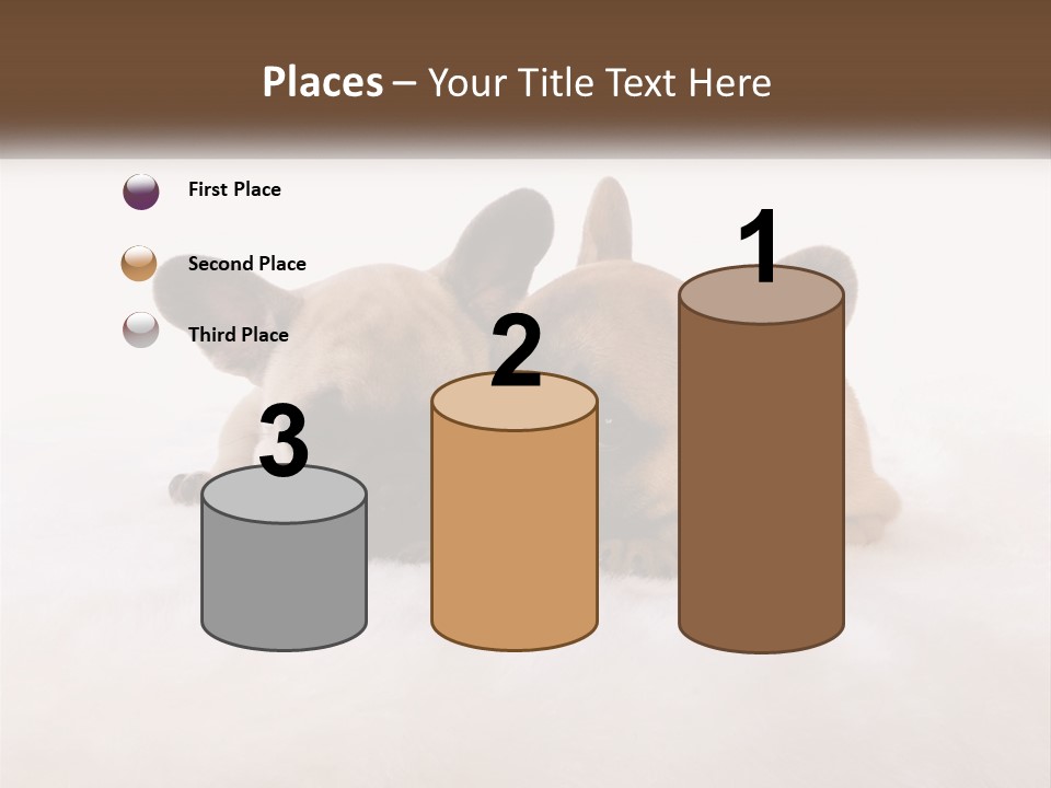 Two Puppies Are Laying Down On A White Carpet PowerPoint Template