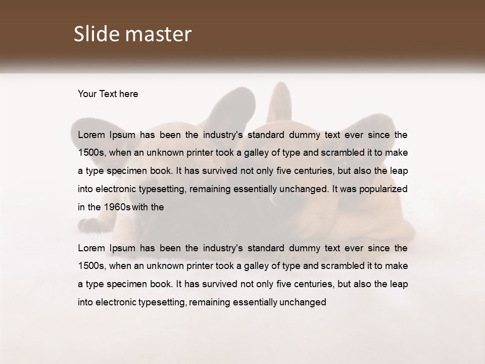 Two Puppies Are Laying Down On A White Carpet PowerPoint Template