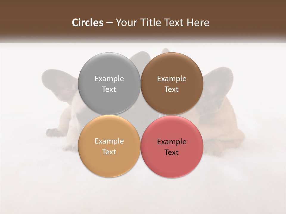 Two Puppies Are Laying Down On A White Carpet PowerPoint Template