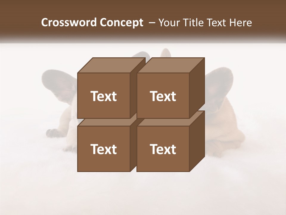 Two Puppies Are Laying Down On A White Carpet PowerPoint Template