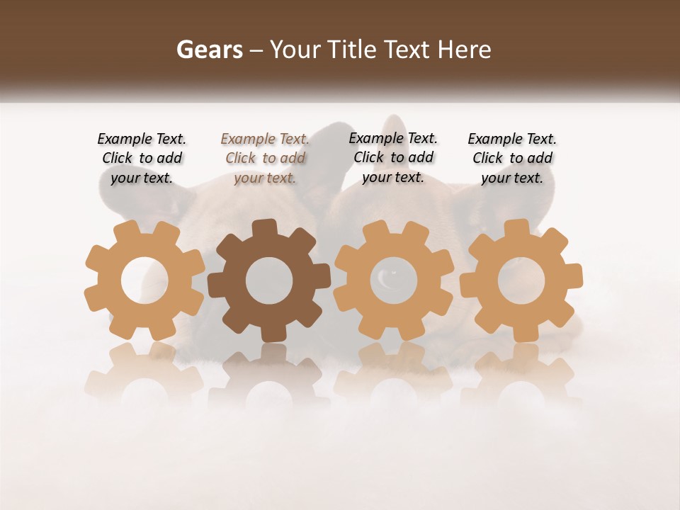 Two Puppies Are Laying Down On A White Carpet PowerPoint Template