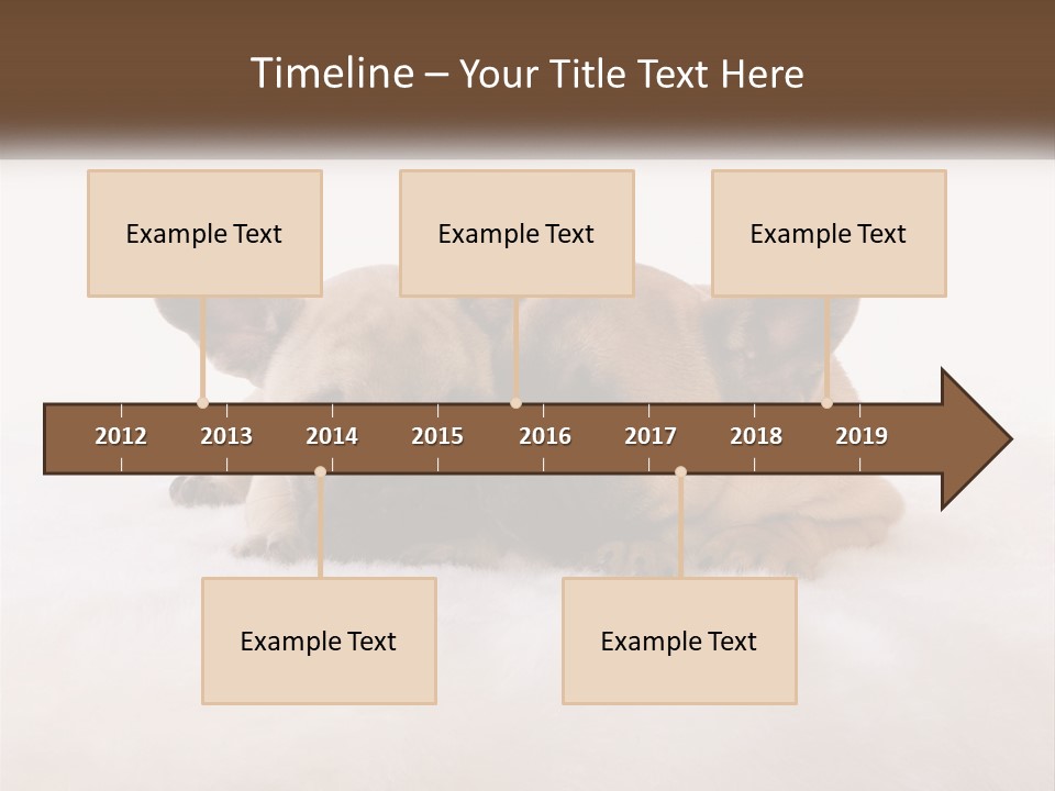 Two Puppies Are Laying Down On A White Carpet PowerPoint Template