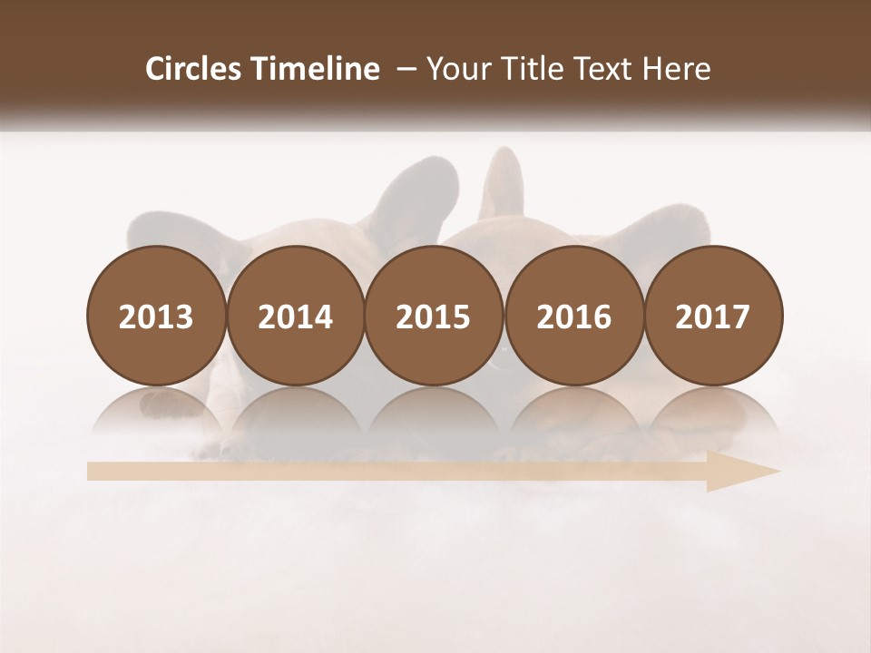 Two Puppies Are Laying Down On A White Carpet PowerPoint Template