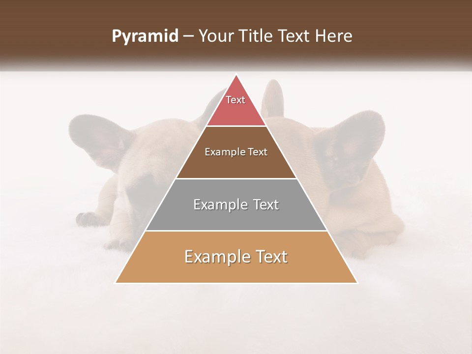 Two Puppies Are Laying Down On A White Carpet PowerPoint Template