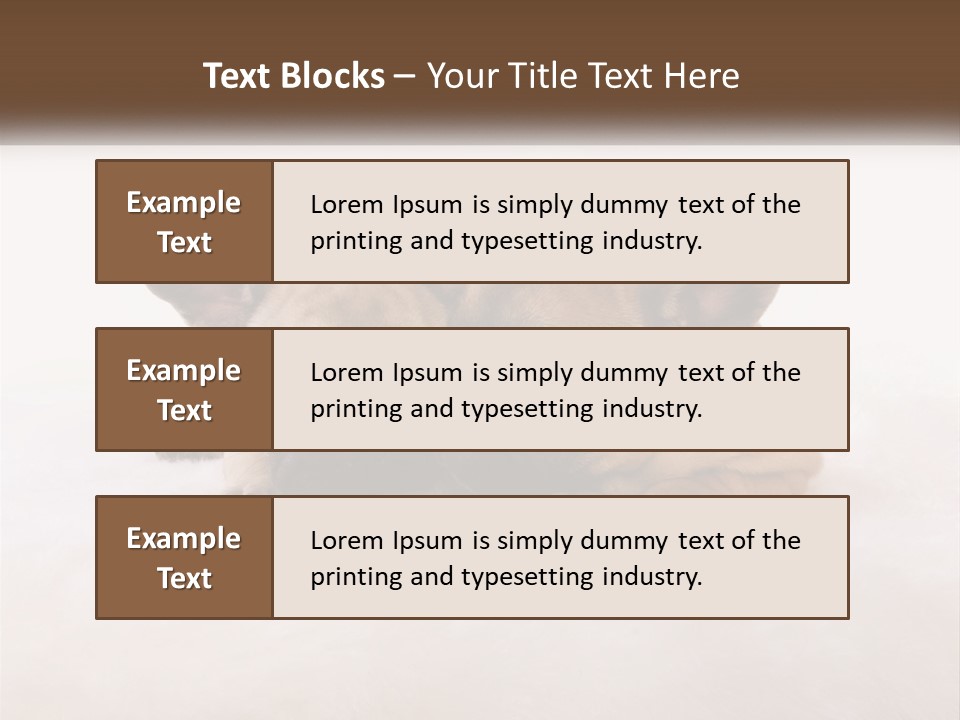 Two Puppies Are Laying Down On A White Carpet PowerPoint Template