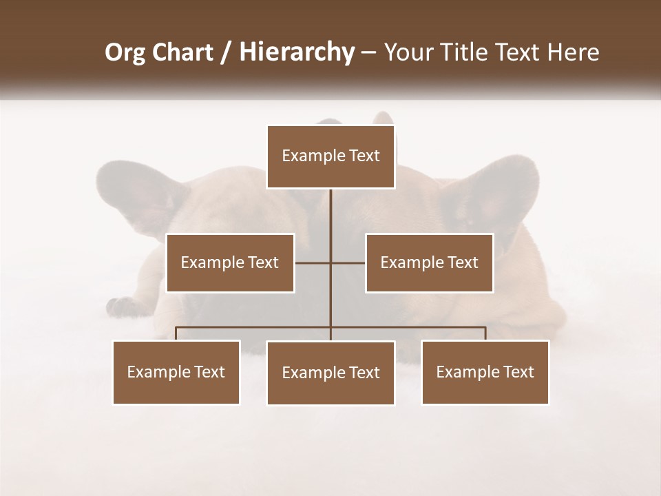 Two Puppies Are Laying Down On A White Carpet PowerPoint Template