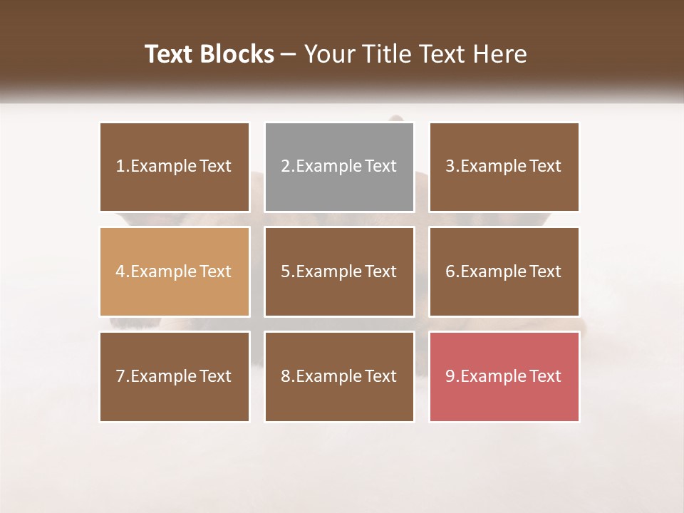 Two Puppies Are Laying Down On A White Carpet PowerPoint Template