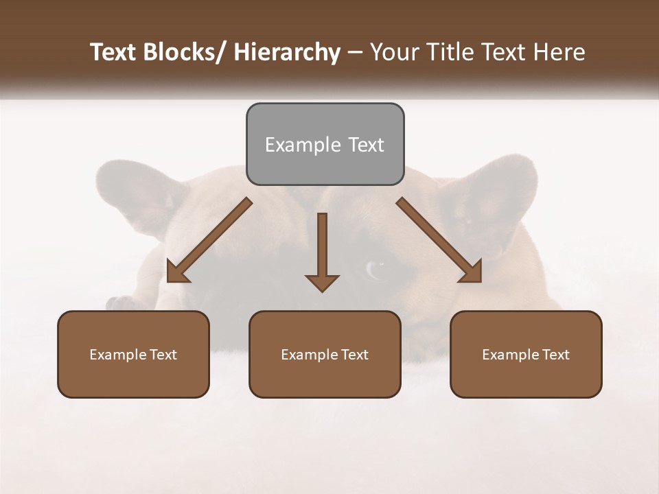 Two Puppies Are Laying Down On A White Carpet PowerPoint Template