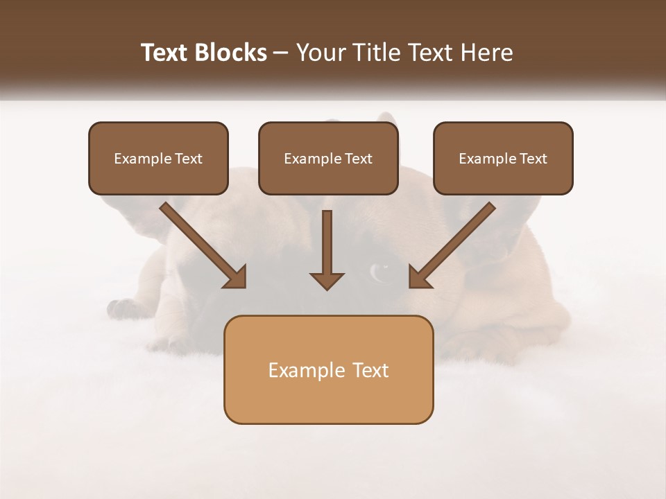 Two Puppies Are Laying Down On A White Carpet PowerPoint Template
