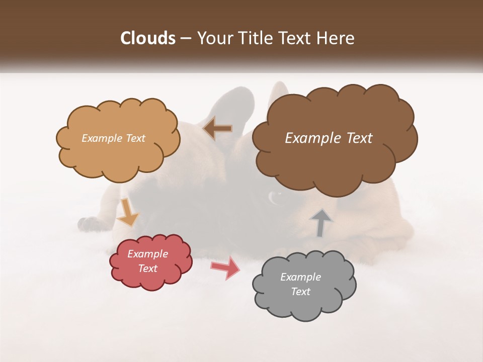Two Puppies Are Laying Down On A White Carpet PowerPoint Template