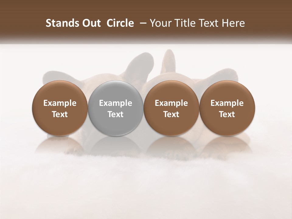 Two Puppies Are Laying Down On A White Carpet PowerPoint Template