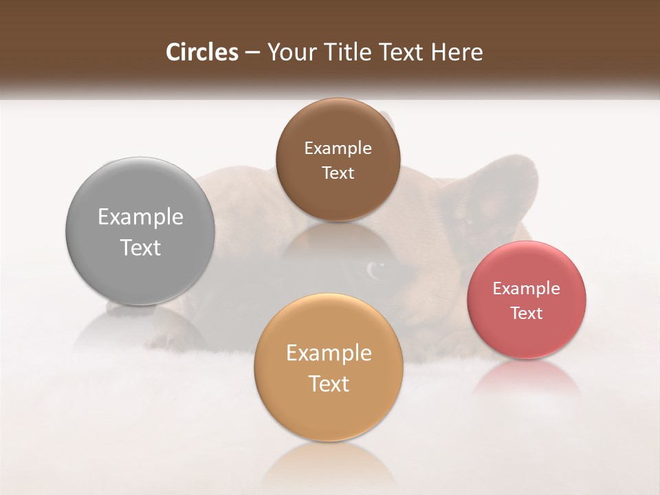 Two Puppies Are Laying Down On A White Carpet PowerPoint Template