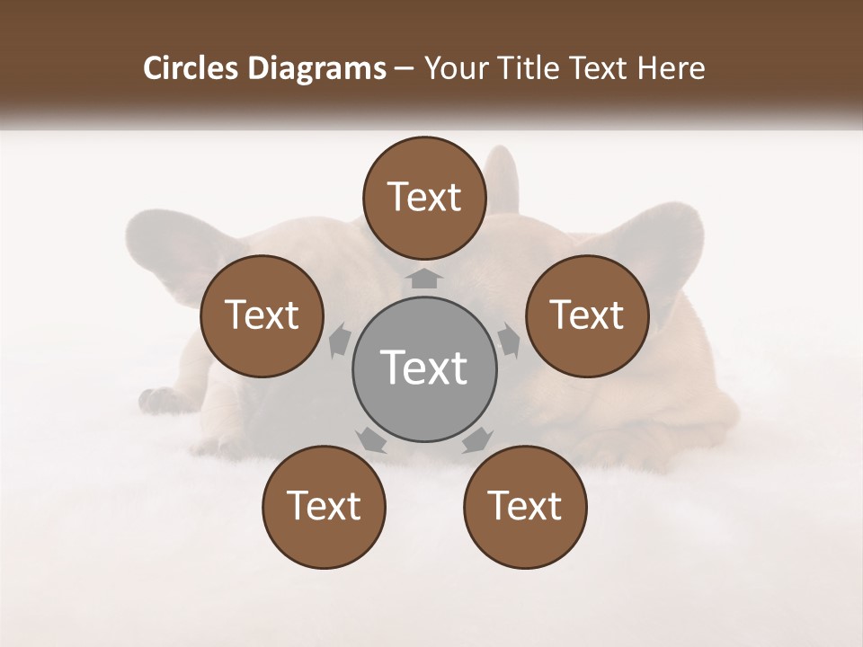 Two Puppies Are Laying Down On A White Carpet PowerPoint Template