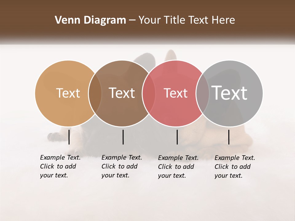 Two Puppies Are Laying Down On A White Carpet PowerPoint Template