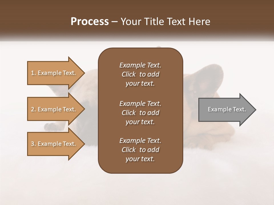 Two Puppies Are Laying Down On A White Carpet PowerPoint Template