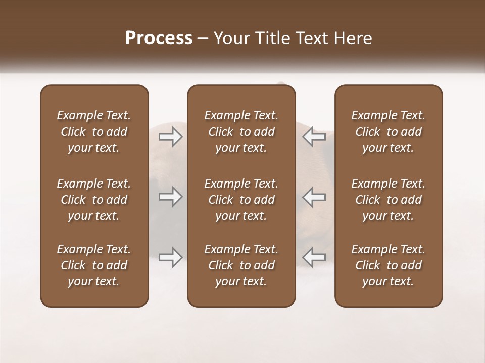 Two Puppies Are Laying Down On A White Carpet PowerPoint Template