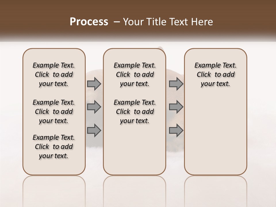 Two Puppies Are Laying Down On A White Carpet PowerPoint Template
