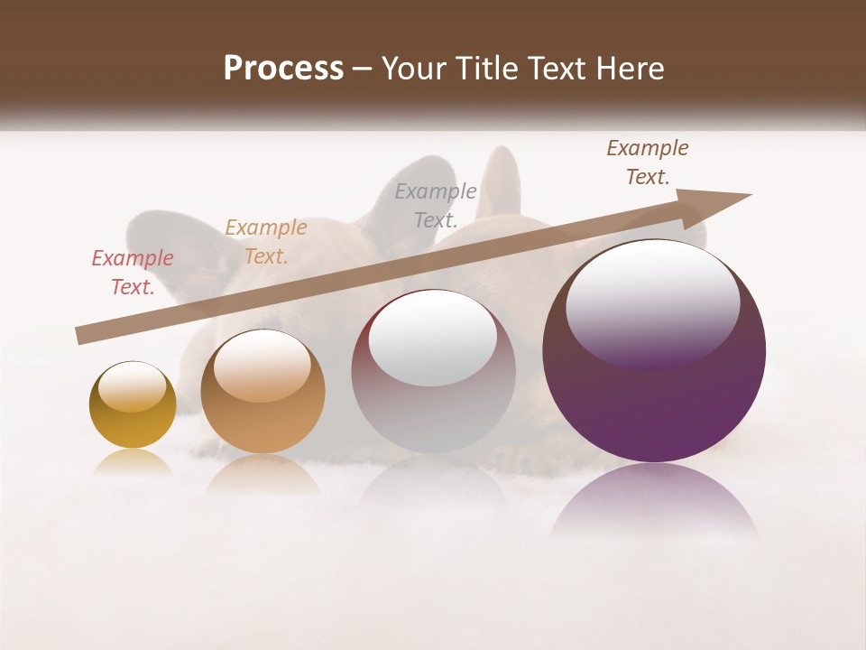 Two Puppies Are Laying Down On A White Carpet PowerPoint Template