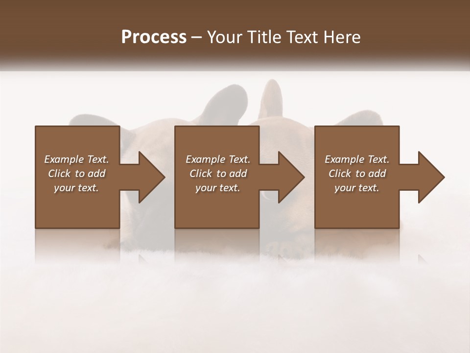 Two Puppies Are Laying Down On A White Carpet PowerPoint Template