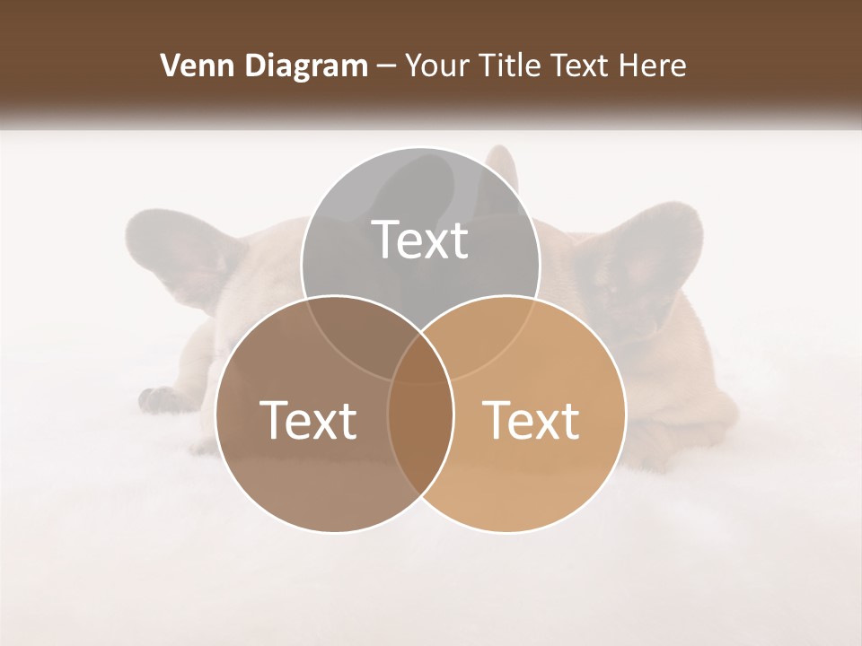 Two Puppies Are Laying Down On A White Carpet PowerPoint Template