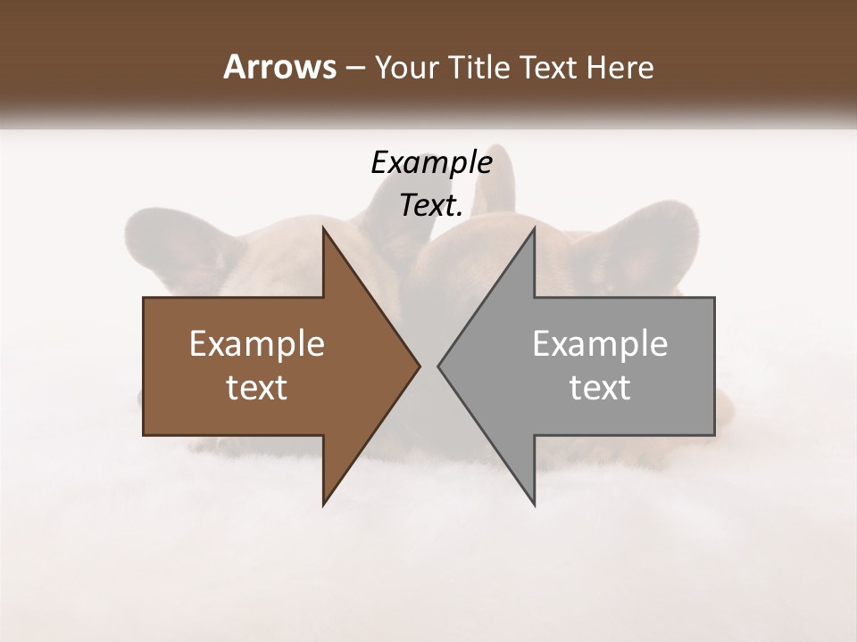 Two Puppies Are Laying Down On A White Carpet PowerPoint Template