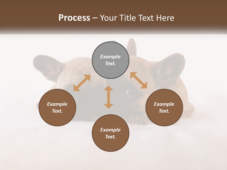 Two Puppies Are Laying Down On A White Carpet PowerPoint Template