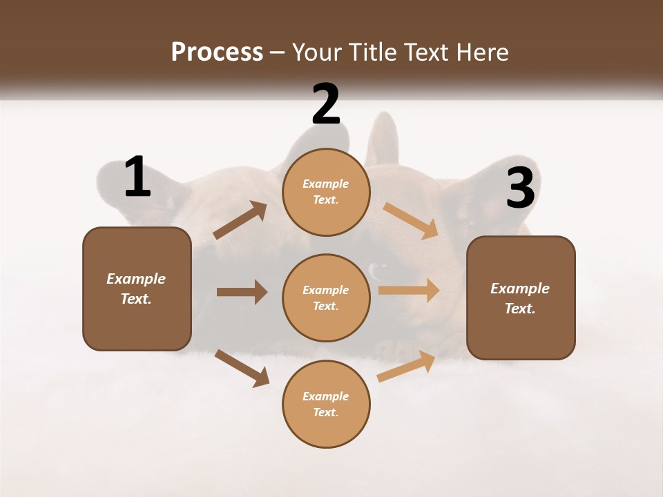 Two Puppies Are Laying Down On A White Carpet PowerPoint Template