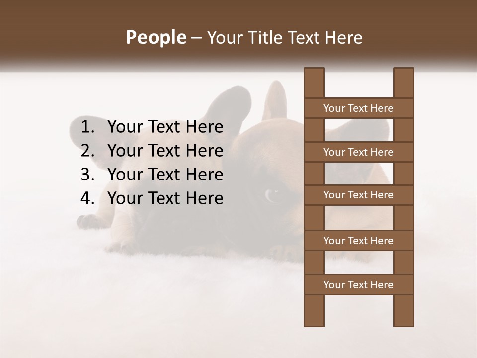 Two Puppies Are Laying Down On A White Carpet PowerPoint Template