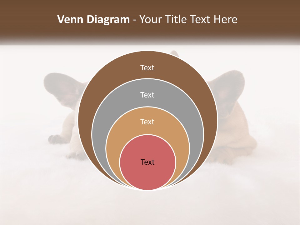 Two Puppies Are Laying Down On A White Carpet PowerPoint Template