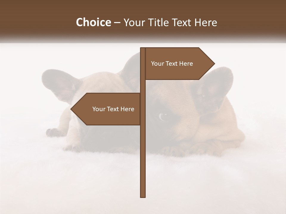 Two Puppies Are Laying Down On A White Carpet PowerPoint Template