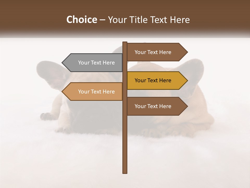 Two Puppies Are Laying Down On A White Carpet PowerPoint Template