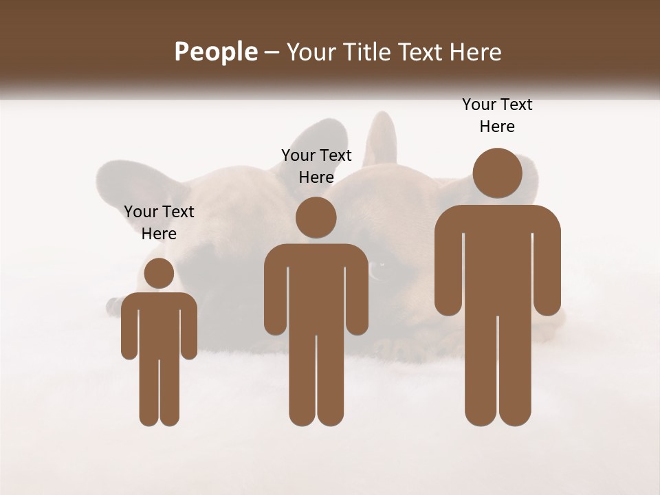 Two Puppies Are Laying Down On A White Carpet PowerPoint Template