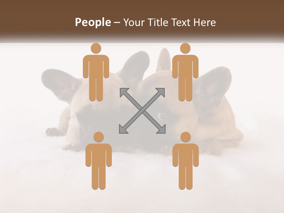 Two Puppies Are Laying Down On A White Carpet PowerPoint Template